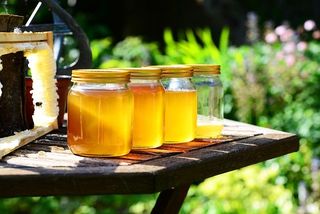 Antioxidant- Honey 